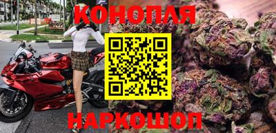 PSILOCYBIN Можга