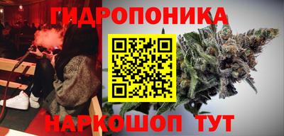 PSILOCYBIN Можга