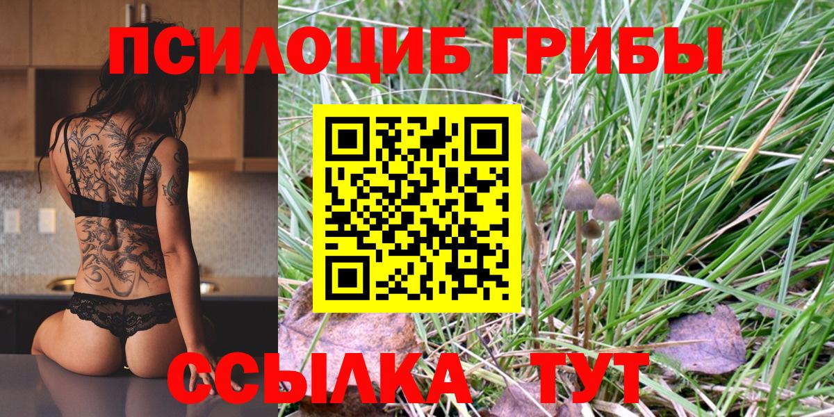 Псилоцибиновые грибы мухоморы  Вход с VPN  Татарск 
